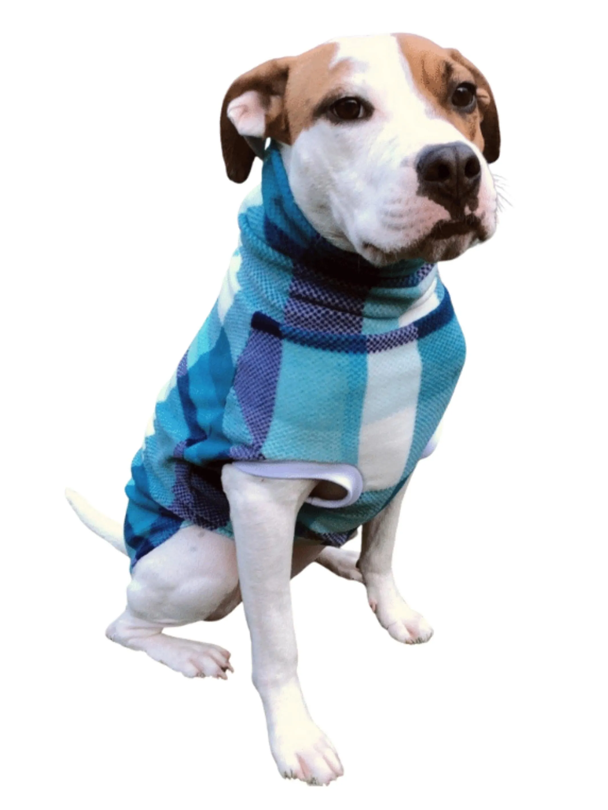 Baby Blue Plaid Dog Sweater