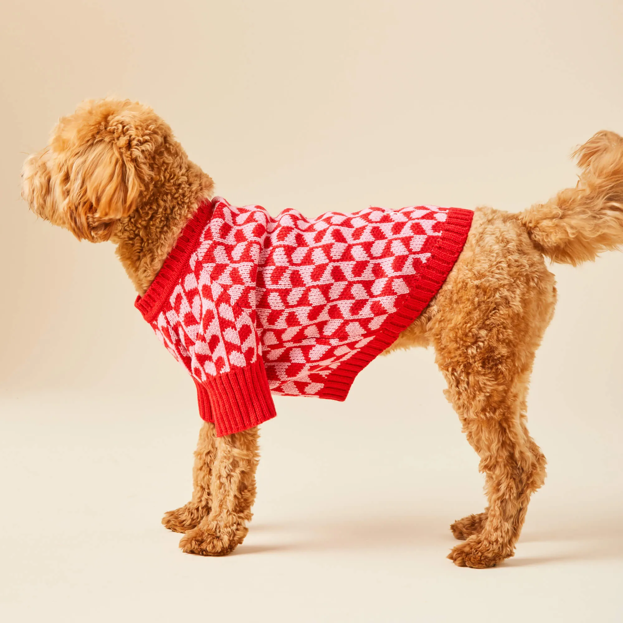 Heart Stripe Dog Sweater