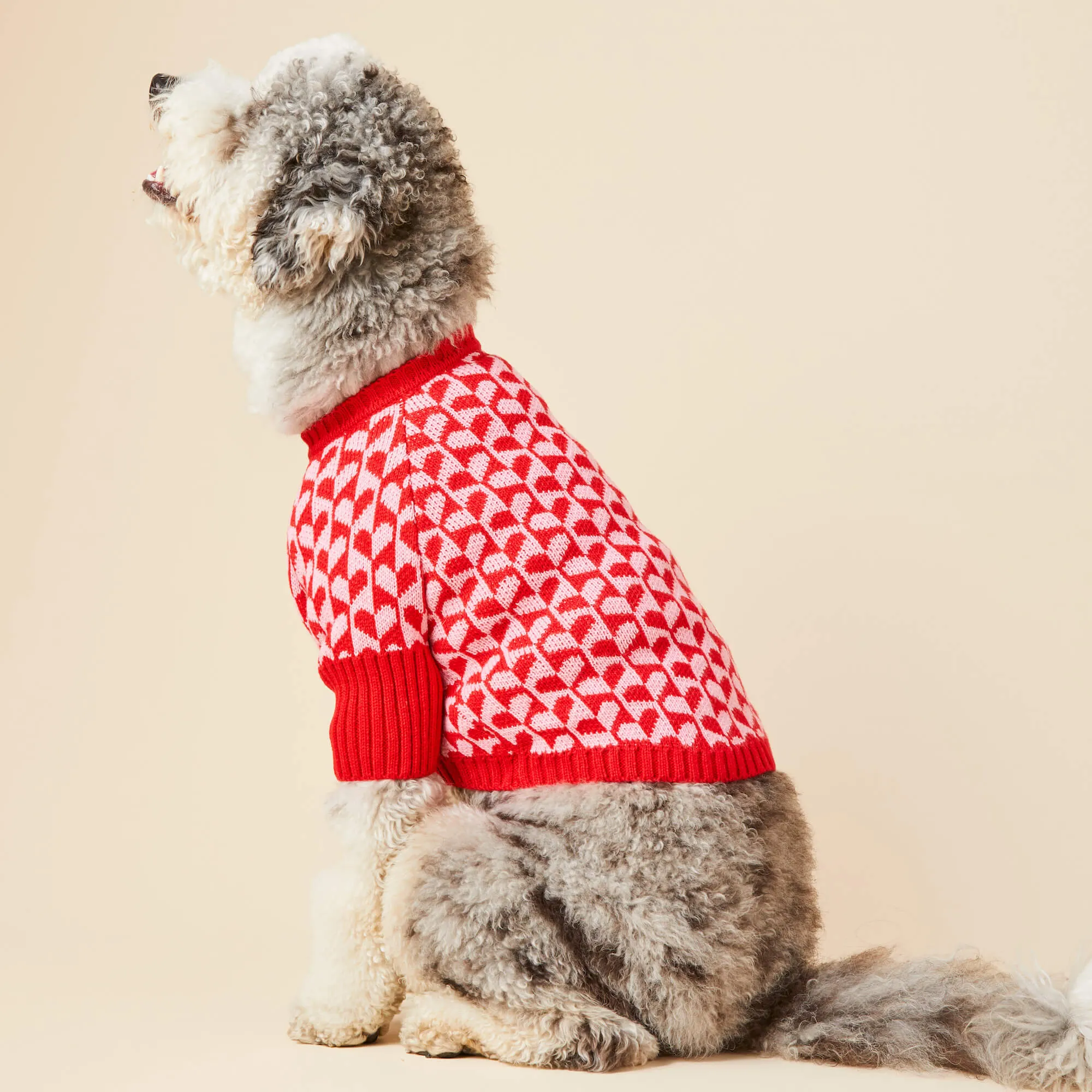 Heart Stripe Dog Sweater