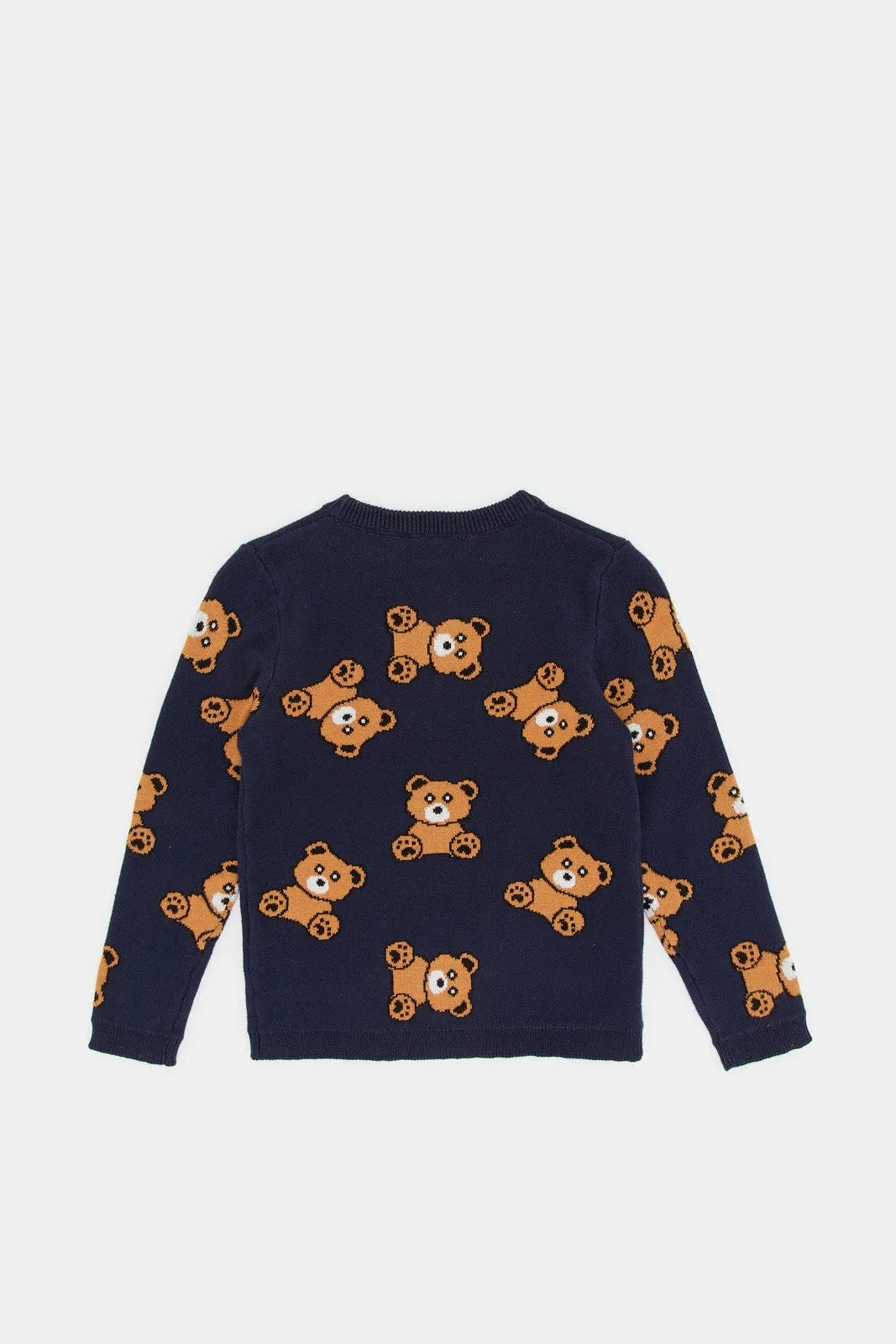 Infant Boys Blue Bear Printed Pullover