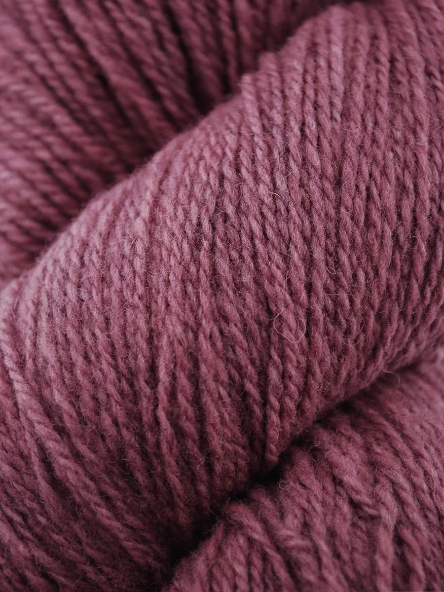 Juniper Moon Farm Patagonia Organic Merino