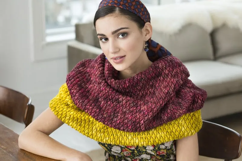 Malabrigo Book 17 - Ponchos & Familia