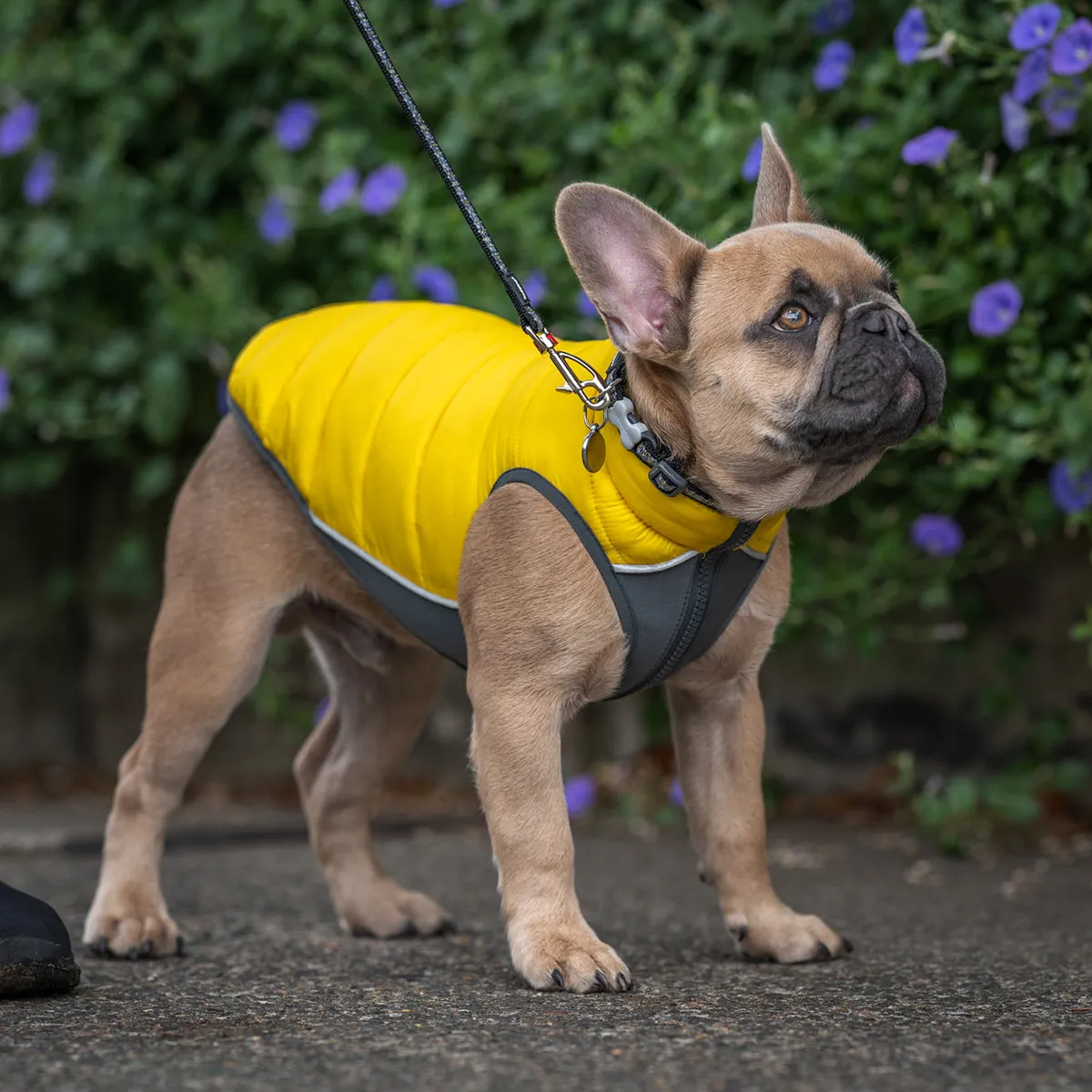 Reversible Dog Puffer Jacket Yellow/Grey